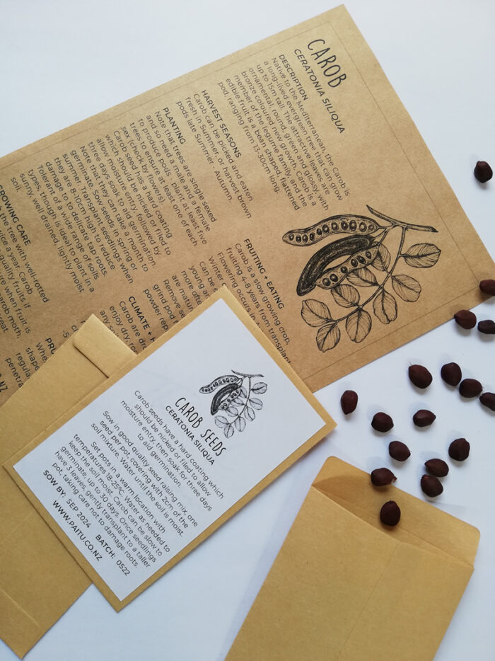 Carob - FRUIT TREE SEEDS - Image 2