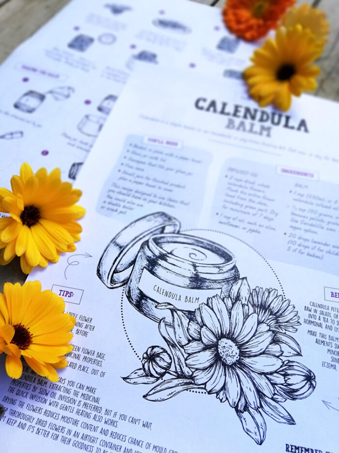 Calendula Balm Recipe printable