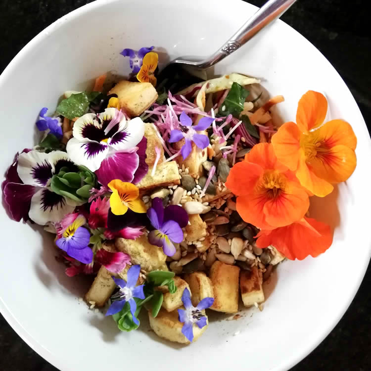 list of NZ edible flowers
